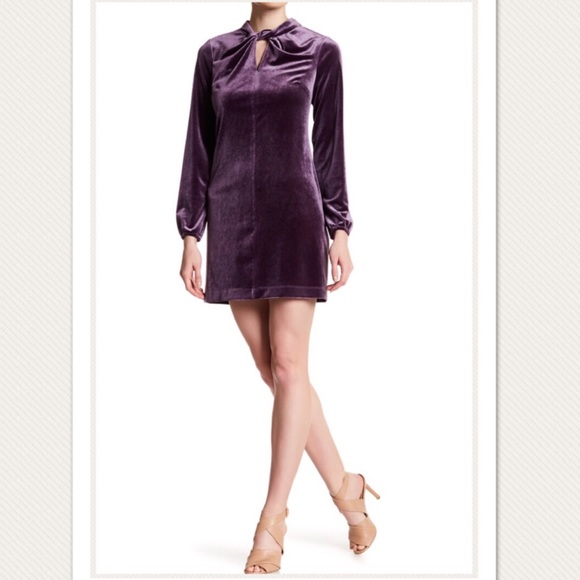 Cynthia Steffe Purple Velvet Cocktail Party Holiday Dress NWT - Picture 1 of 7